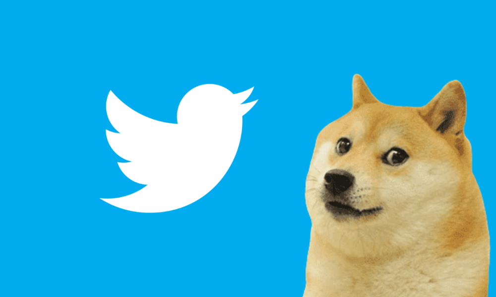 Perro Internet Random Twitter reemplazó su ícono por Doge, el perro viral de Internet 🤣
